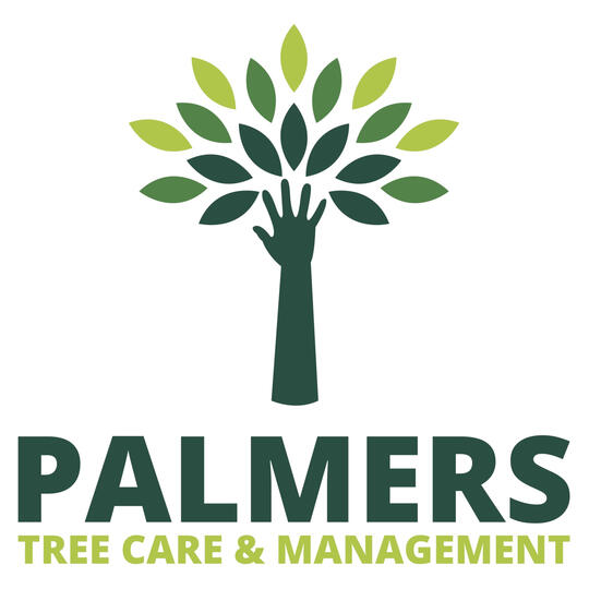 palmers_logo